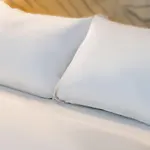 Bordeaux Aeroport Hotel Mérignac